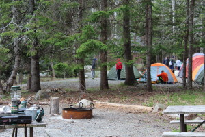 Blackwoods Campground